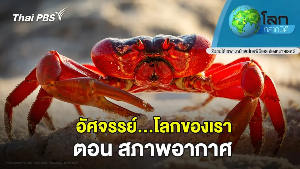 โลกหลากมิติ