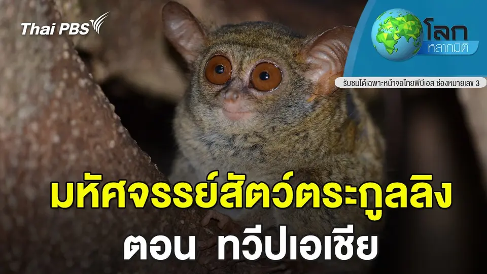 โลกหลากมิติ