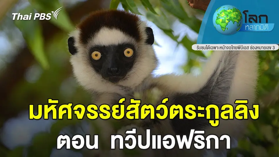 โลกหลากมิติ