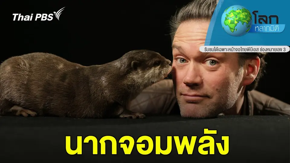โลกหลากมิติ