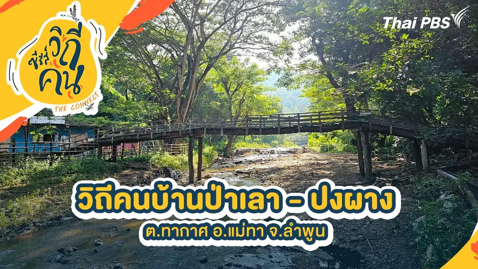 วิถีคนบ้านป่าเลา - ปงผาง ต.ทากาศ อ.แม่ทา จ.ลำพูน