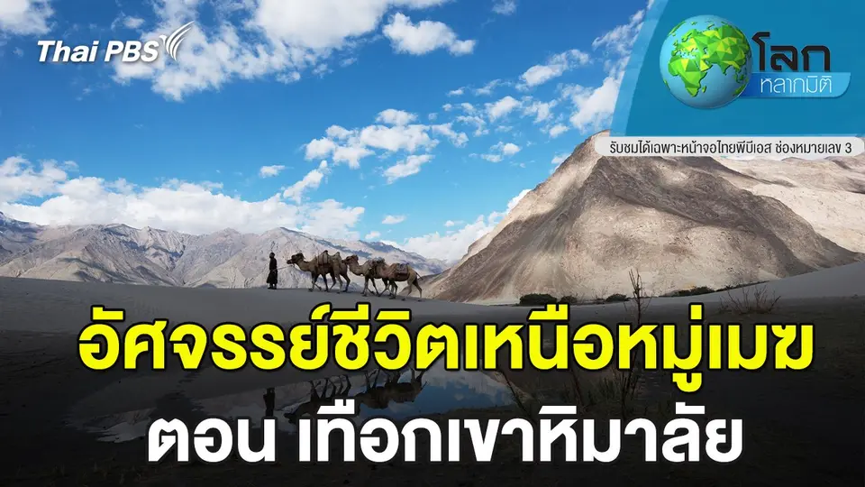 โลกหลากมิติ