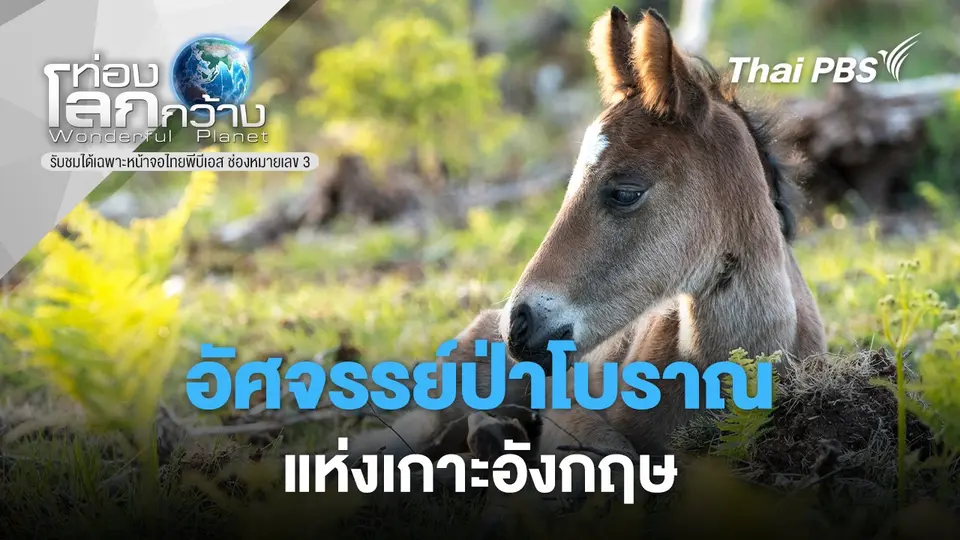 ท่องโลกกว้าง
