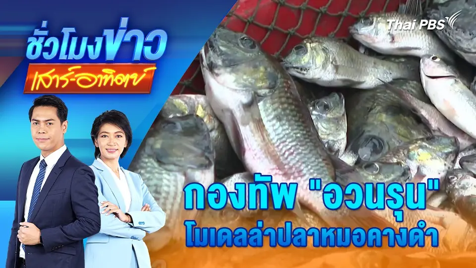 กองทัพ "อวนรุน" โมเดลล่าปลาหมอคางดำ | ชั่วโมงข่าว เสาร์ - อาทิตย์ | 28 ก.ค. 67