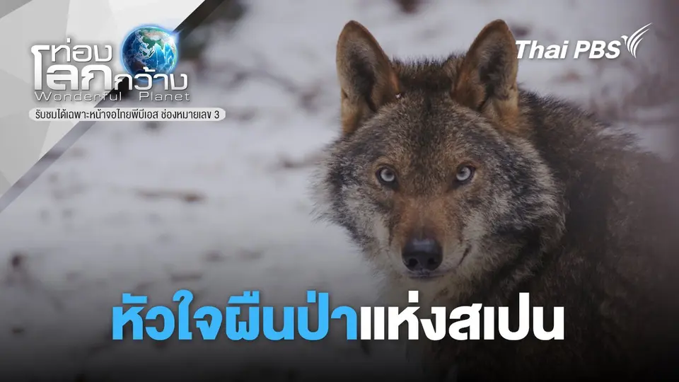 ท่องโลกกว้าง