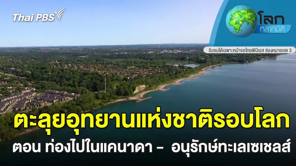 โลกหลากมิติ