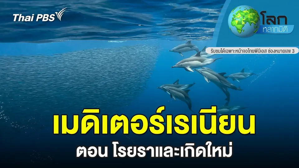 โลกหลากมิติ