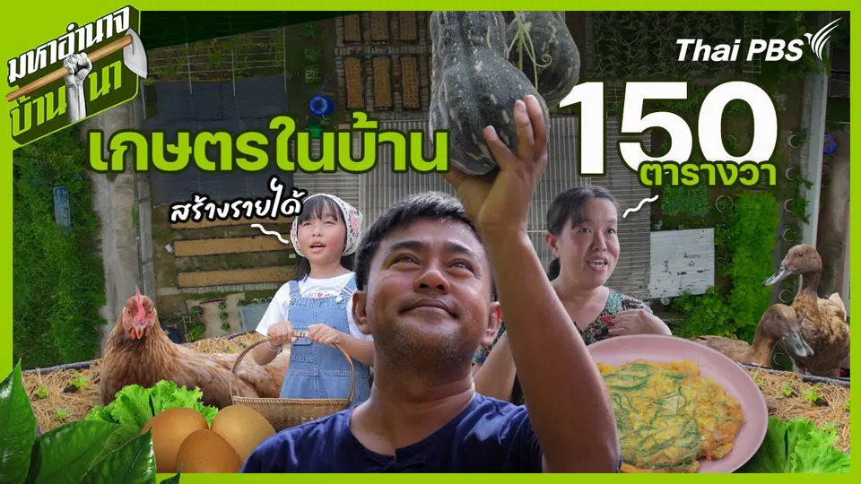 เกษตรในบ้าน 150 ตารางวา สร้างรายได้