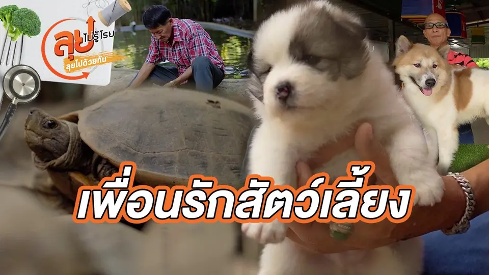 ลุยไม่รู้โรย