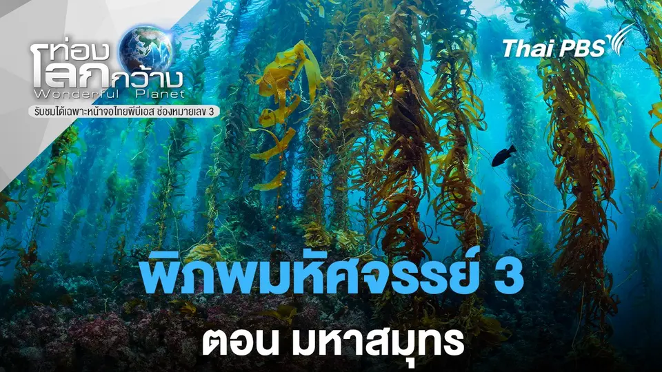 ท่องโลกกว้าง
