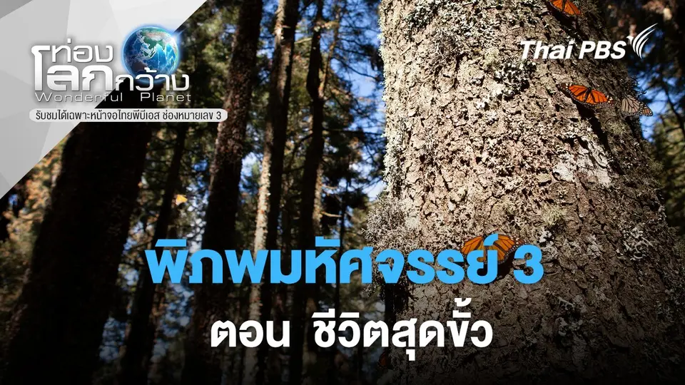 ท่องโลกกว้าง