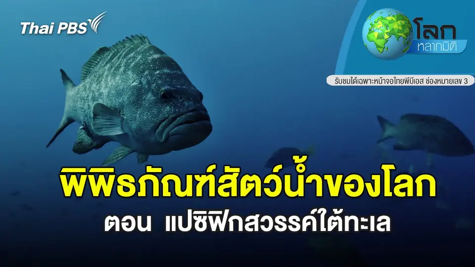 โลกหลากมิติ