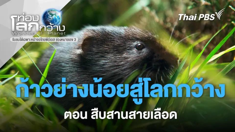 ท่องโลกกว้าง