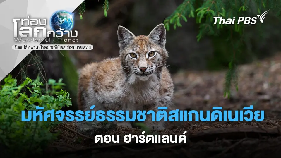 ท่องโลกกว้าง