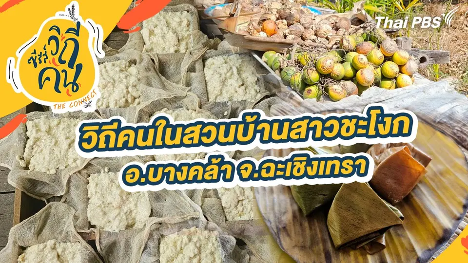 วิถีคนในสวนบ้านสาวชะโงก อ.บางคล้า จ.ฉะเชิงเทรา
