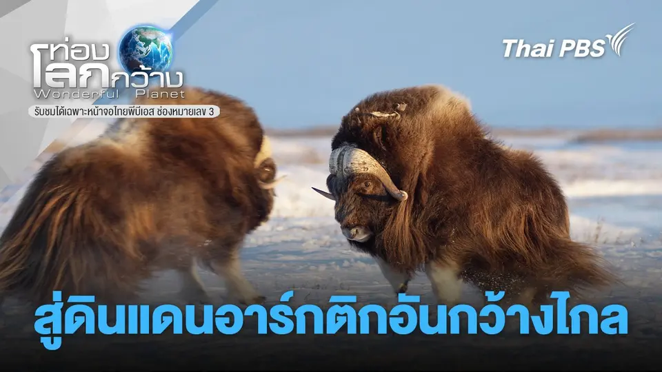 ท่องโลกกว้าง