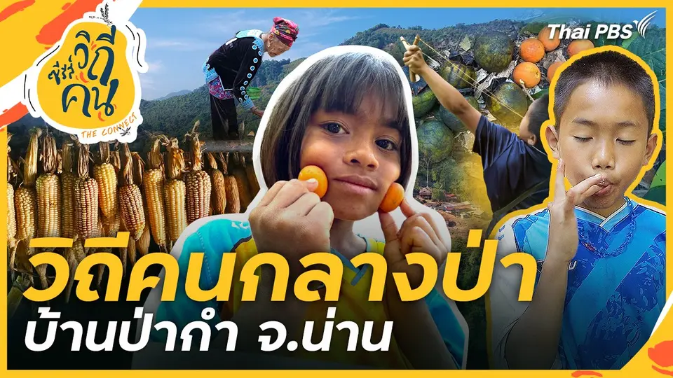 วิถีคนกลางป่า บ้านป่ากำ ต.ดงพญา อ.บ่อเกลือ จ.น่าน