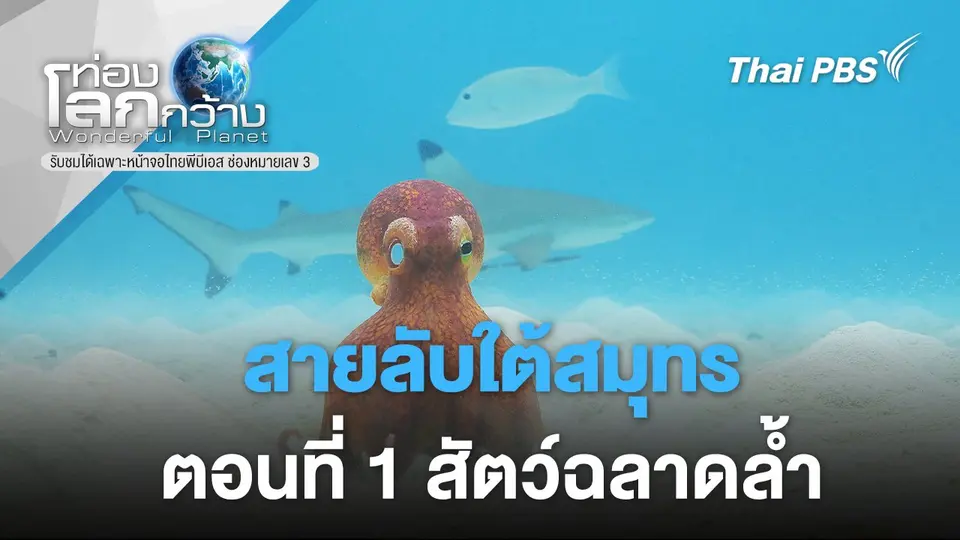 ท่องโลกกว้าง