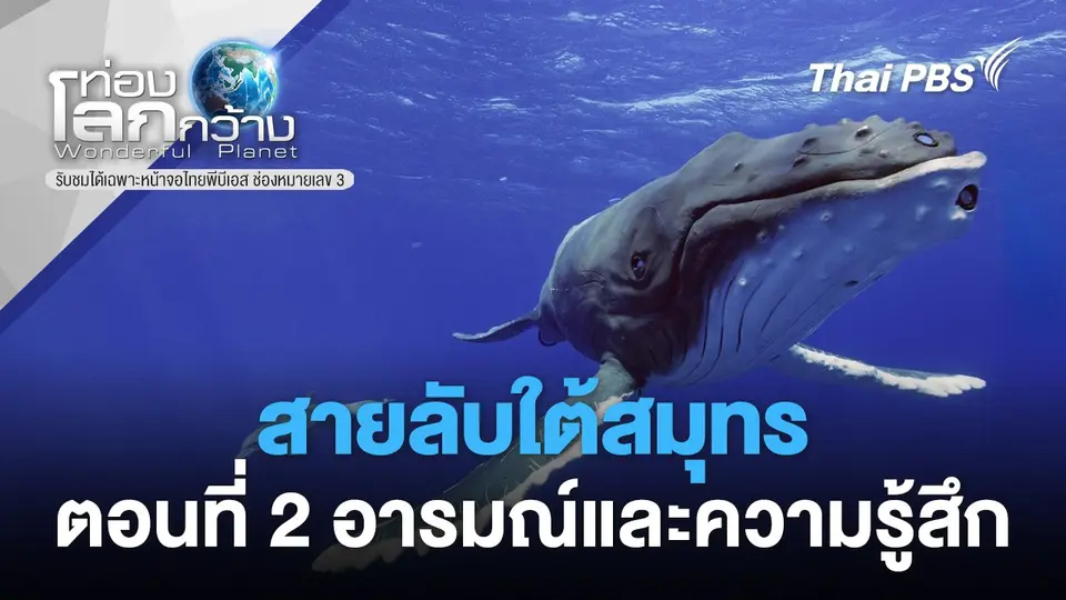 ท่องโลกกว้าง