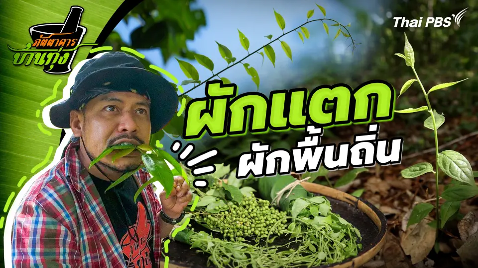 ผักแตก