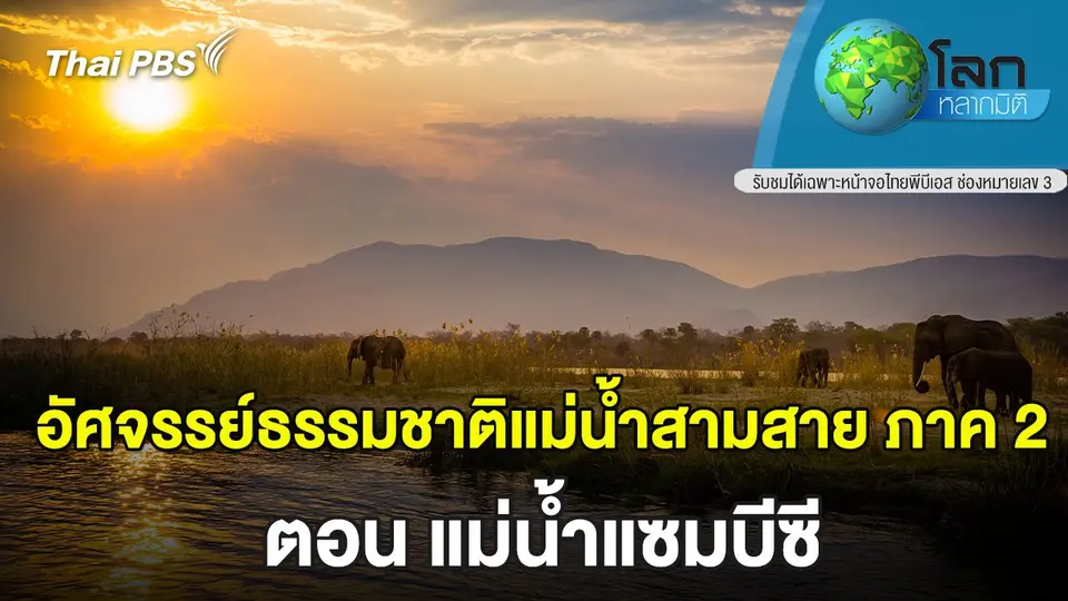 โลกหลากมิติ