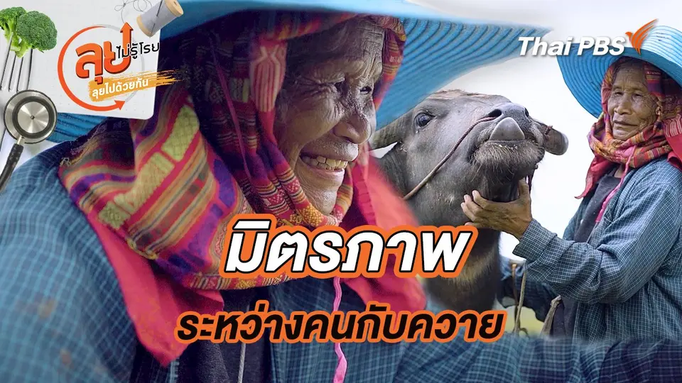 ลุยไม่รู้โรย