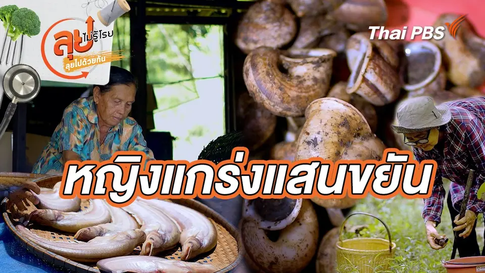 ลุยไม่รู้โรย