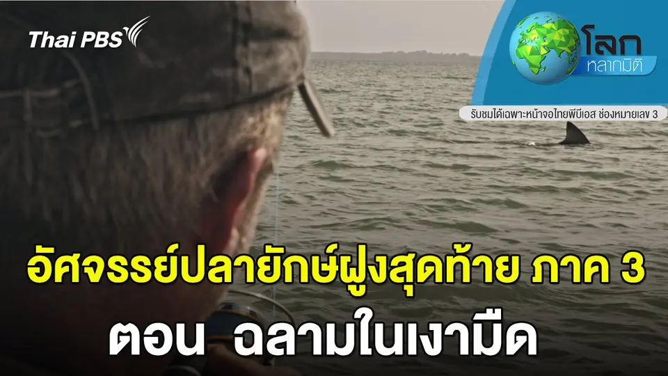 โลกหลากมิติ