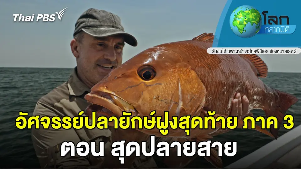 โลกหลากมิติ