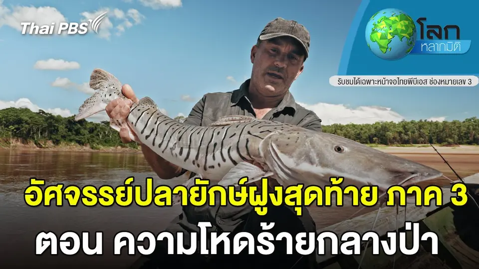 โลกหลากมิติ