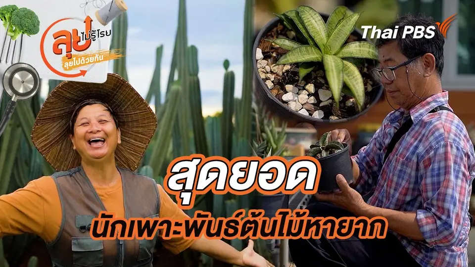 ลุยไม่รู้โรย