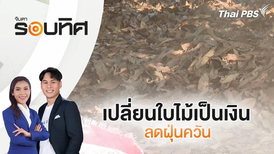 เปลี่ยนใบไม้เป็นเงิน ลดฝุ่นควัน | จับตารอบทิศ | 27 ม.ค. 68