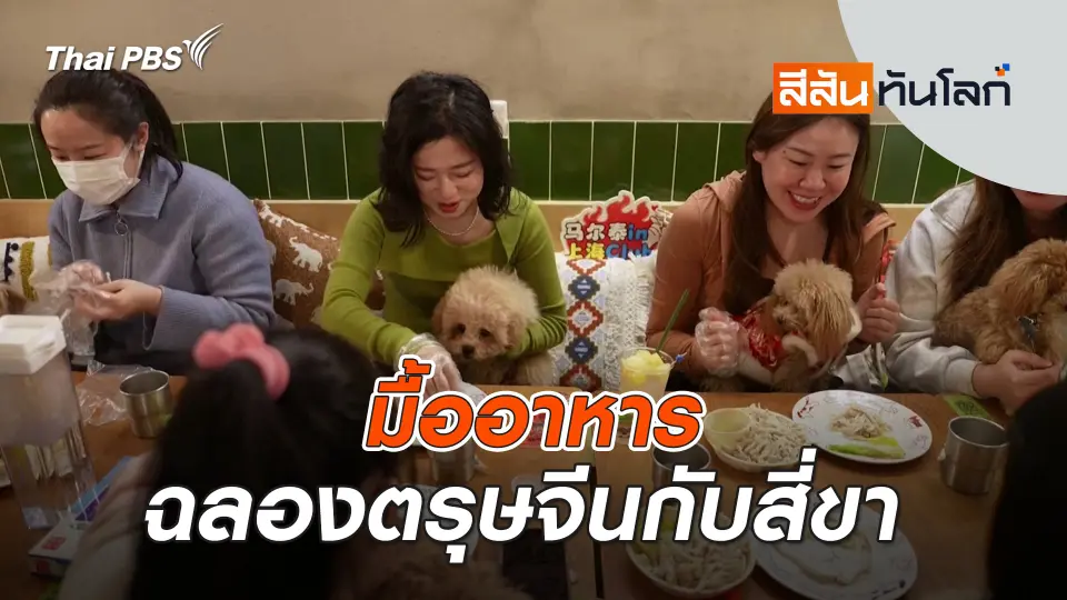 ​มื้ออาหารฉลองตรุษจีนกับสี่ขา | สีสันทันโลก | 1 ก.พ. 68