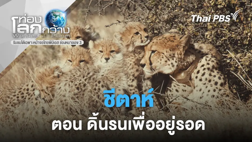 ท่องโลกกว้าง