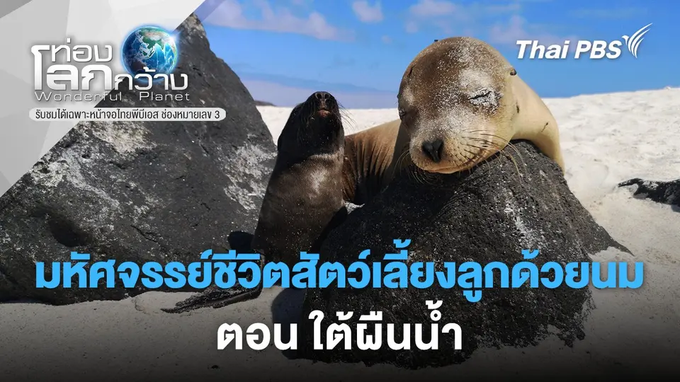 ท่องโลกกว้าง