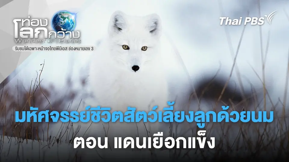 ท่องโลกกว้าง