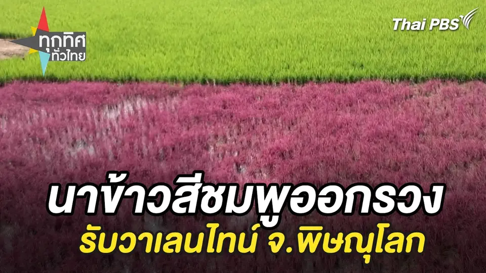 ทุกทิศทั่วไทย