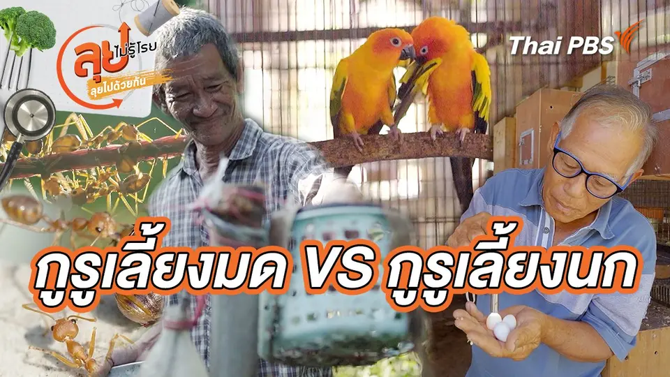 ลุยไม่รู้โรย