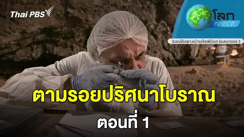 โลกหลากมิติ