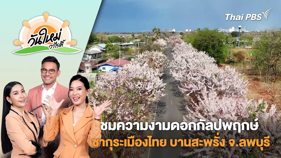 วันใหม่วาไรตี้