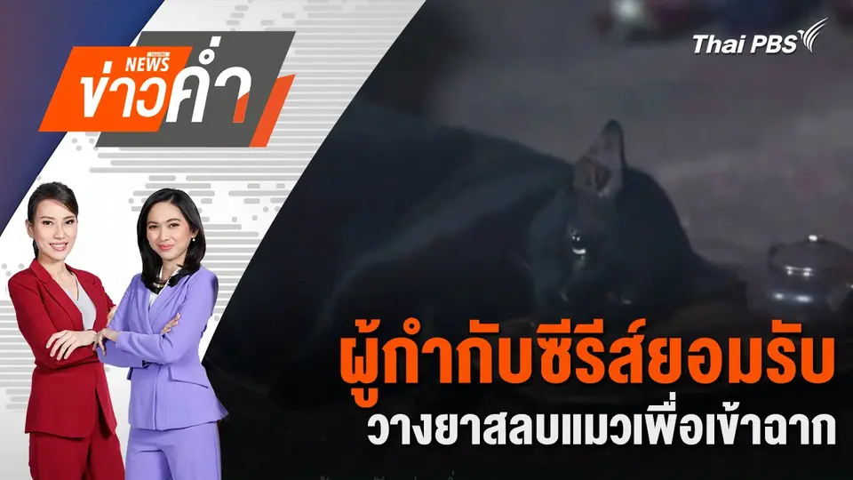 ผู้กำกับซีรีส์ยอมรับ วางยาสลบแมวเพื่อเข้าฉาก | 9 พ.ย. 67