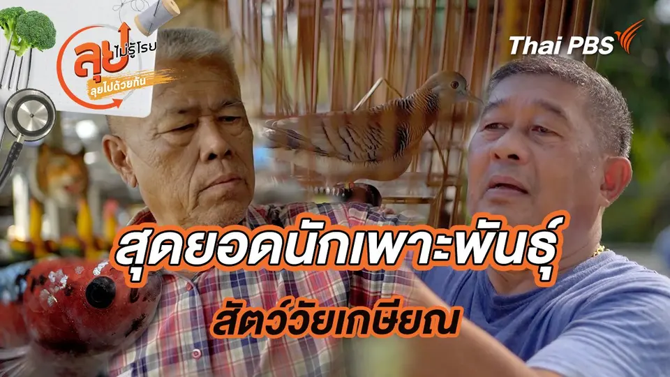 ลุยไม่รู้โรย