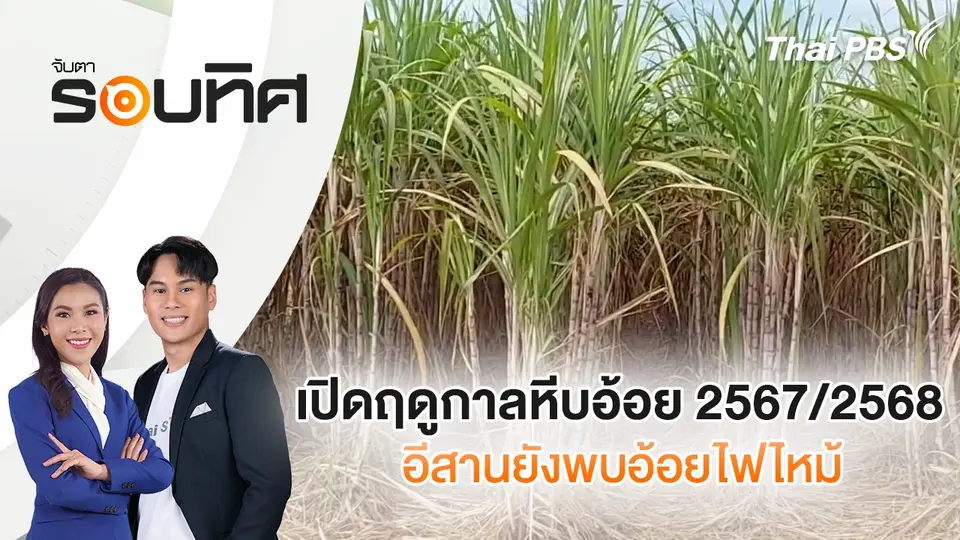 เปิดฤดูกาลหีบอ้อย 2567/2568 อีสานยังพบอ้อยไฟไหม้ | จับตารอบทิศ | 19 ธ.ค. 67