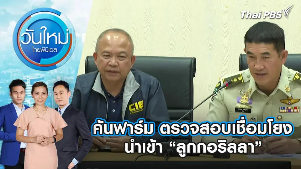 ค้นฟาร์ม ตรวจสอบเชื่อมโยง นำเข้า “ลูกกอริลลา” | 26 ธ.ค. 67