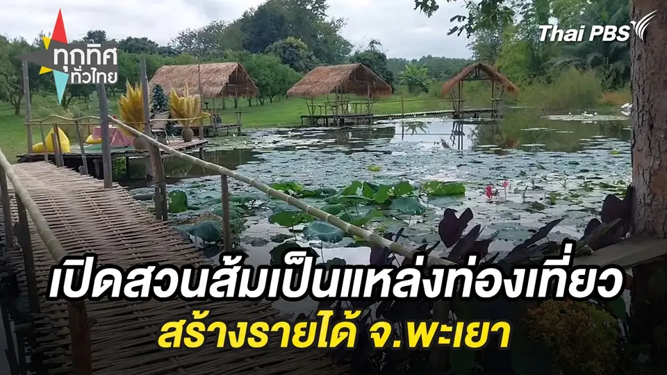 เปิดสวนส้มเป็นแหล่งท่องเที่ยวสร้างรายได้ จ.พะเยา