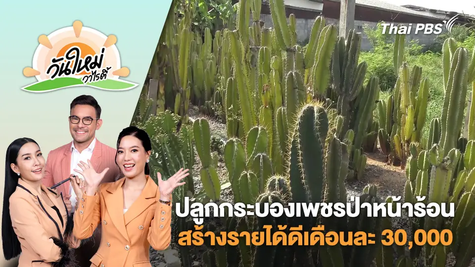 เกษตรกรปลูกกระบองเพชรป่าหน้าร้อน สร้างรายได้ดี | วันใหม่วาไรตี้ | 18 เม.ย. 68