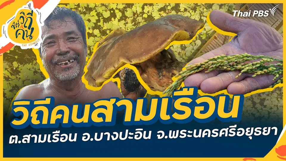 วิถีคนสามเรือน ต.สามเรือน อ.บางปะอิน จ.พระนครศรีอยุธยา