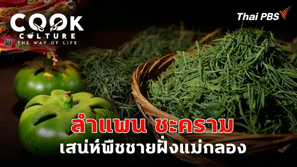 Cook Culture