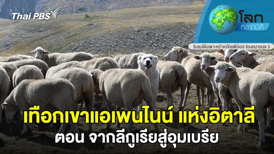 โลกหลากมิติ