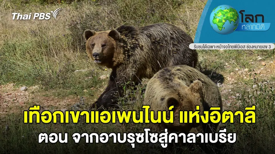 โลกหลากมิติ